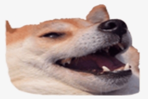 Design Any Discord Emoji - You Take A Shit And They Have #2004913