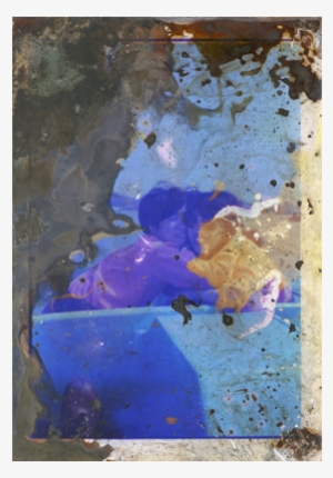 Melinda Gibson & Thomas Sauvin - Thomas Sauvin #2005516