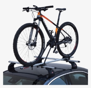 Bici 3000 Alu New - Cannondale Trail 3 29 2018 #2006009