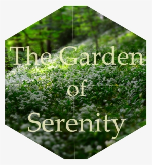 Turtle And Moose #2007783