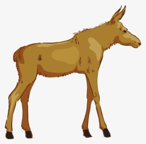 Free - Clip Art #2007984 Free - Clip Art #2007984