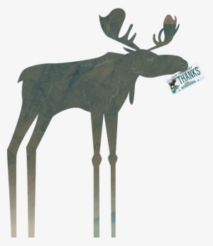 Where Is Your Moose Plate - Nh Moose Plate Grant #2008035