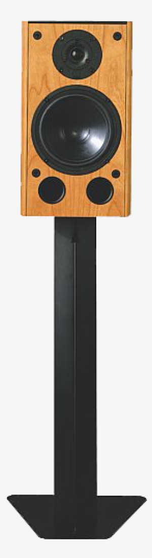 Dali Evidence - Portable Network Graphics #2008446