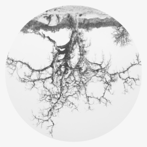 “you Don't Have To Delve Very Deeply Into Modern Physics - Rodney Graham #2008490