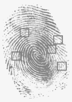 Mb Image/png - Dna Fingerprinting In Solving Crimes #2008759