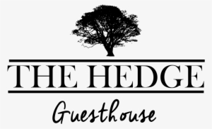 36 Cowburn Street, Kuruman - The Hedge Guesthouse #2008775
