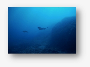 Diving And Living In Tamarindo - Tamarindo #2008872