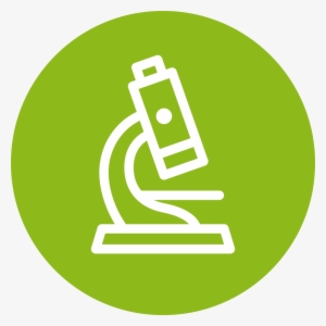 Evidence - Ville De Saint Etienne #2008893