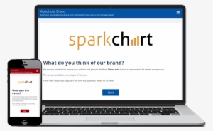 Survey Software Responsive Brand Survey - Netbook #2009742