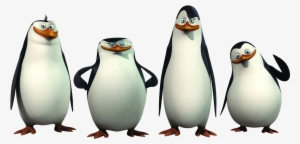 Madagascar Penguins Png Image - Penguins Of Madagascar #2009848