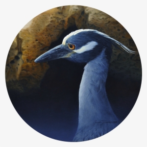 Regal Blues - Great Blue Heron #2010342