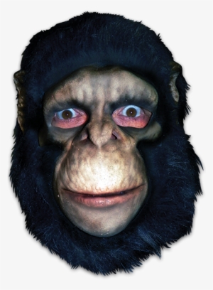 Chimpanzee Full Head - Trick Or Treat Studios Chimpanzee Full Head Mask #2011499