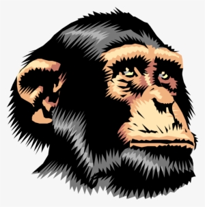 Chimpanzee - Love My Chimpanzee T Shirt #2012048