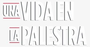 Descubra El Nuevo Museo - Poster #2012050