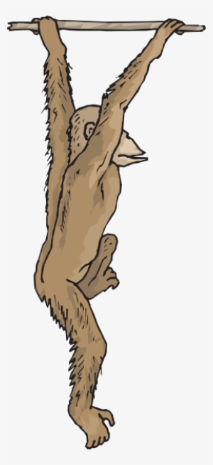 Small - Chimpanzee #2012101