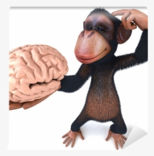 Buying A Home 2017: Don't Let Them Make A Monkey Out #2012322