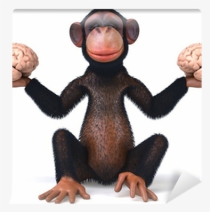 Good Proud Monkey A Schizophrenics Soldier's Tale #2012591