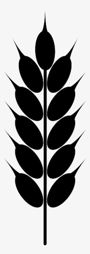 Cornfield Drawing Trigo - Grain Clipart #2013465