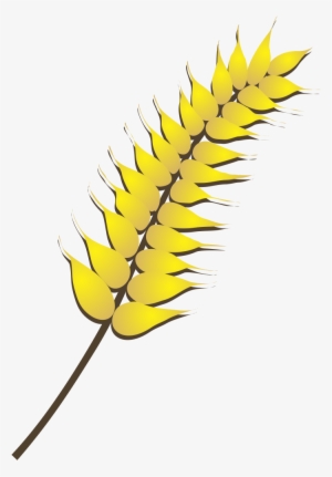 Imagens Recortadas No Photoshop E Exportadas Em Extensão - Trigo Em Desenho Png #2013603