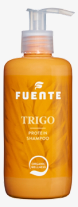Add To Cart - Fuente Shampoo #2014334