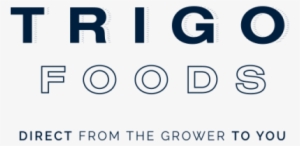 Trigo Square Simple - Food #2014335