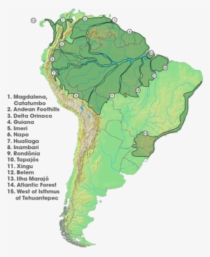 Areas Of Endemism - Drainage Basins Of South America #2014357