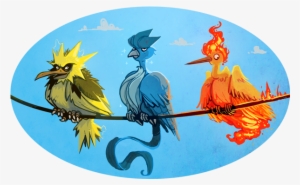 About The Author - Pokemon Team Legendary Birds #2014723