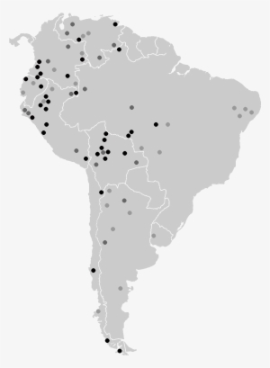 Isolates South America - Short Tailed Chinchilla #2014869
