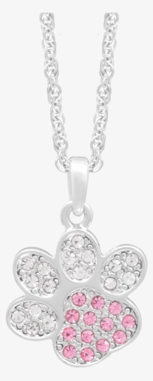 Dog Paw - Dog #2016751