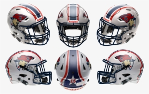 5961c1e36c9eb Patriotsspeedflex6view - Charlotte 49ers Football Helmet #2017193