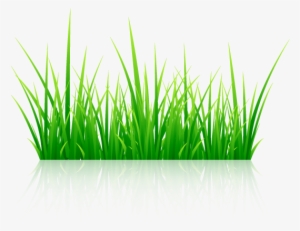 Más De - Vector Graphics #2017895