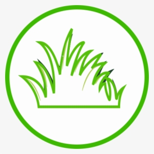 Sunrise Hyderabad #2018138