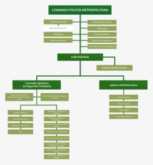 Organigrama - Organigrama De La Policia Nacional #2018322