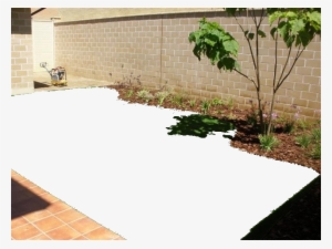 Digital Camera #2018519