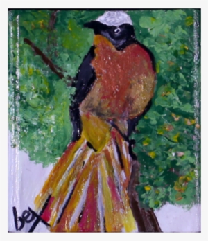 "white Crowned Robin" - Painting #2018740