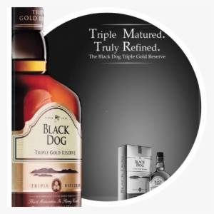 Bd Tgr Definitely Converts Bw Moments Into Colour - Black Dog Triple Gold Reserve #2018762