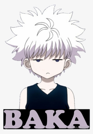 Report Abuse - Hunter X Hunter Killua Baka #2019205