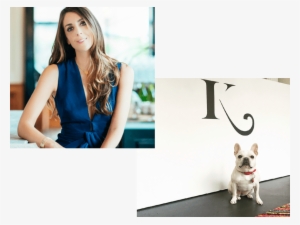 High - French Bulldog #2019468