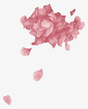 #troyesivan #wild #flowers - Fools Troye Sivan Png #2020790