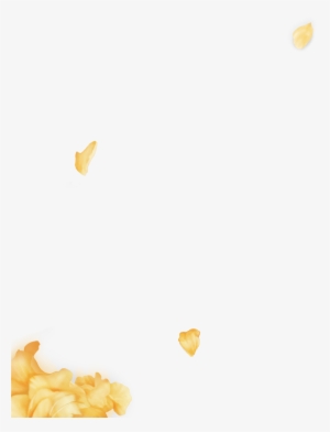Phstwt0 - Cookie #2020795