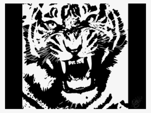 Tiger Contrast Drawing By Keisharall #2021230