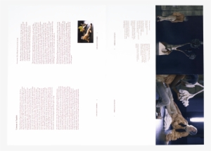 Requíem For Mirrors And Tigers Studio Manuel Raeder - Elephant #2021334