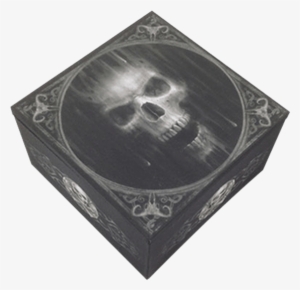 Menacing Skull Trinket Box - Official Anne Stokes Tribal Hard Back Case #2021796