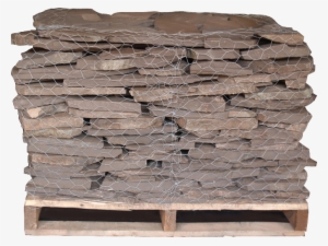 Colonial Lilac - Connecticut #2023093