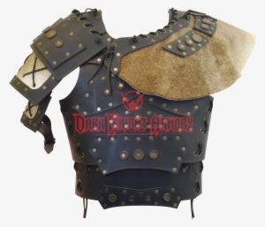 Barbarian's Armor #2024181