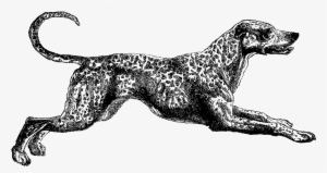 Dog Dalmatian Image - Clip Art #2025409