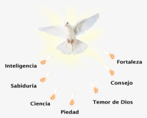 Espiritu Santo En Png #2026346 Espiritu Santo En Png #2026346