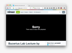 2016 05 02 Vimeo Issue Playback - Kyoto #2026613