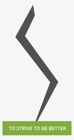 Why Choose Zig Zag #2027561