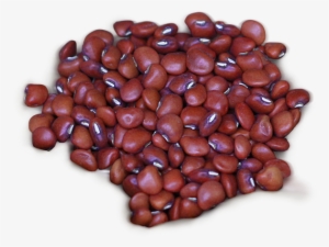 Perros Pueden Comer Frijoles #2027884